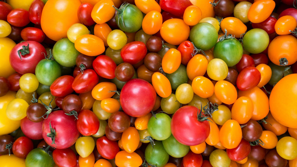 Cumque temporibus inventore soluta laborum et.